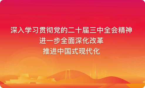 学习宣传贯彻党的二十大精神