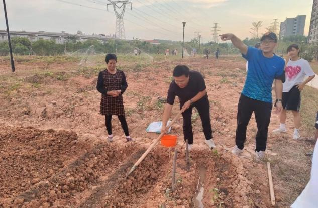 图片 1.png 图片 1.png